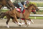 La contendiente de King's Plate, Caitlinhergreatness (L), bajo el mando del jockey Rafael Hernández, avanza en la preparación final para la carrera número 165 de la carrera de $1,000,000 de dólares en Woodbine Racetrack el sábado 17 de agosto de 2024.