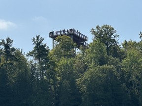 Eagle Tower is Peninsula State Park’s fully accessible lookout tower, accessed by stairs or an 850-foot elevated boardwalk ramp that winds through the forest. IAN SHANTZ/TORONTO SUN