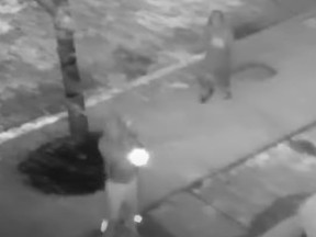 Investigators are trying to identify two people who shot up a house in Nobleton and a third accomplice who drove the getaway vehicle on Monday, Aug. 19, 2024.