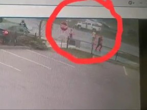 Video submitted as an exhibit at Insp. Joyce Schertzer's disciplinary tribunal hearing shows her nephew, Calvin Dejak's pickup truck hit a light standard on Lake Shore Blvd. W. (Supplied image)