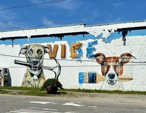 ViBe Creative District