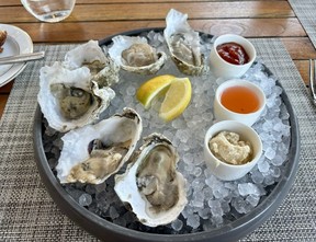 Oysters