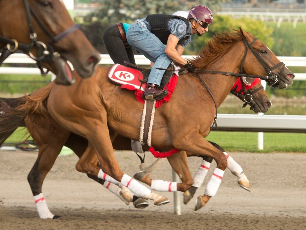 King’s Plate and other reasons to race into this weekend Toronto Sun