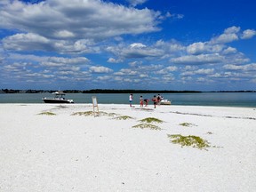 Shelling on Marco Island