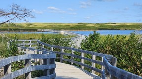 The boardwalk on the Greenwich Dunes Trail is as picturesque as it gets. SARA SHANTZ PHOTO