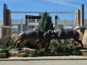 A sculpture of two rams at Canvas Stadium