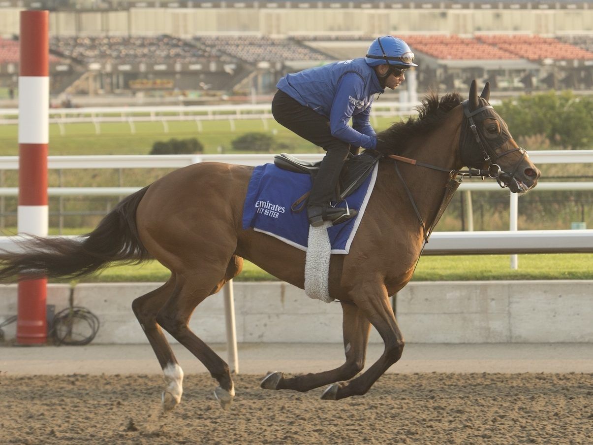 Naval Power heads to Woodbine looking for double