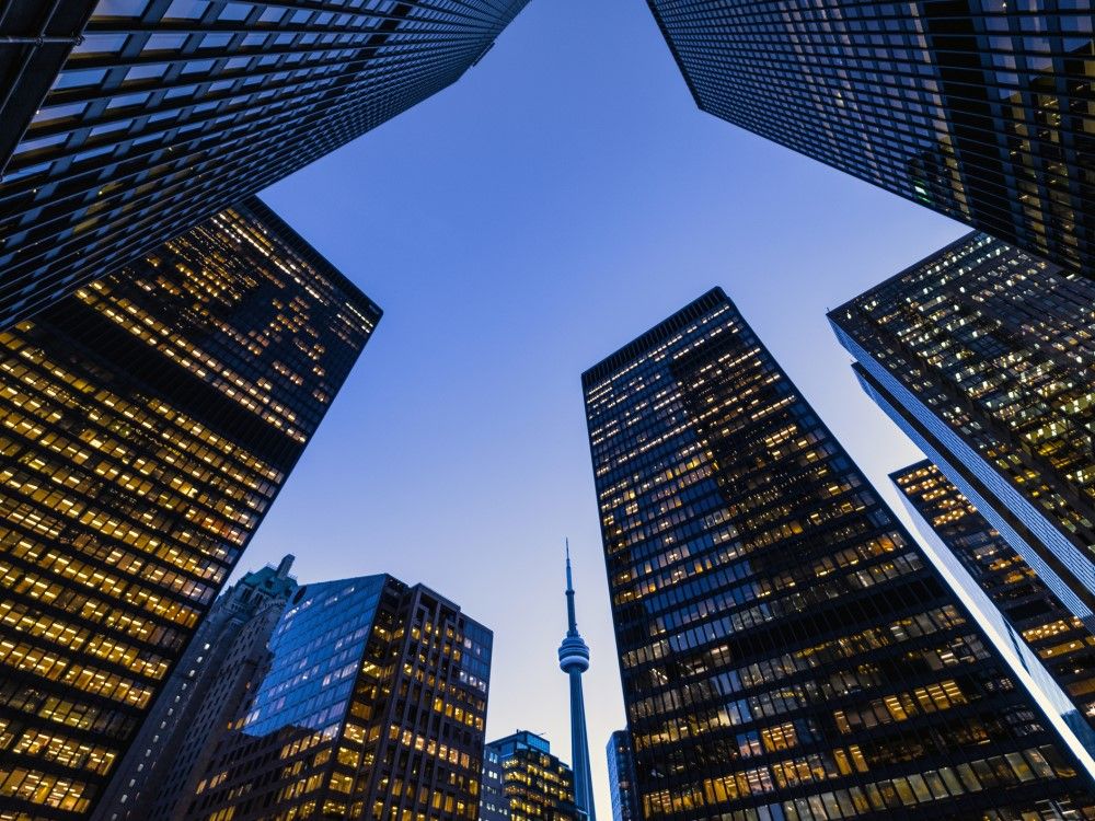 Torontonians encouraged to protect birds during city’s Lights Out campaign