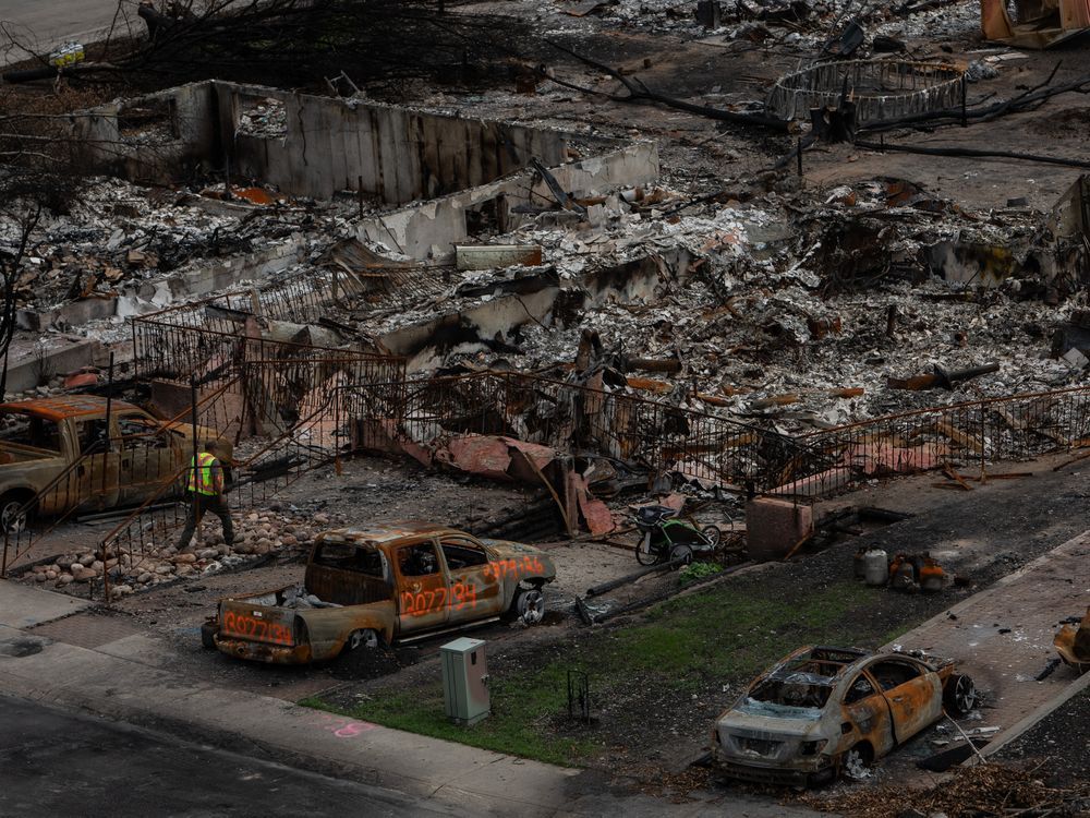 Devastating Jasper wildfire now listed as under control: Parks Canada