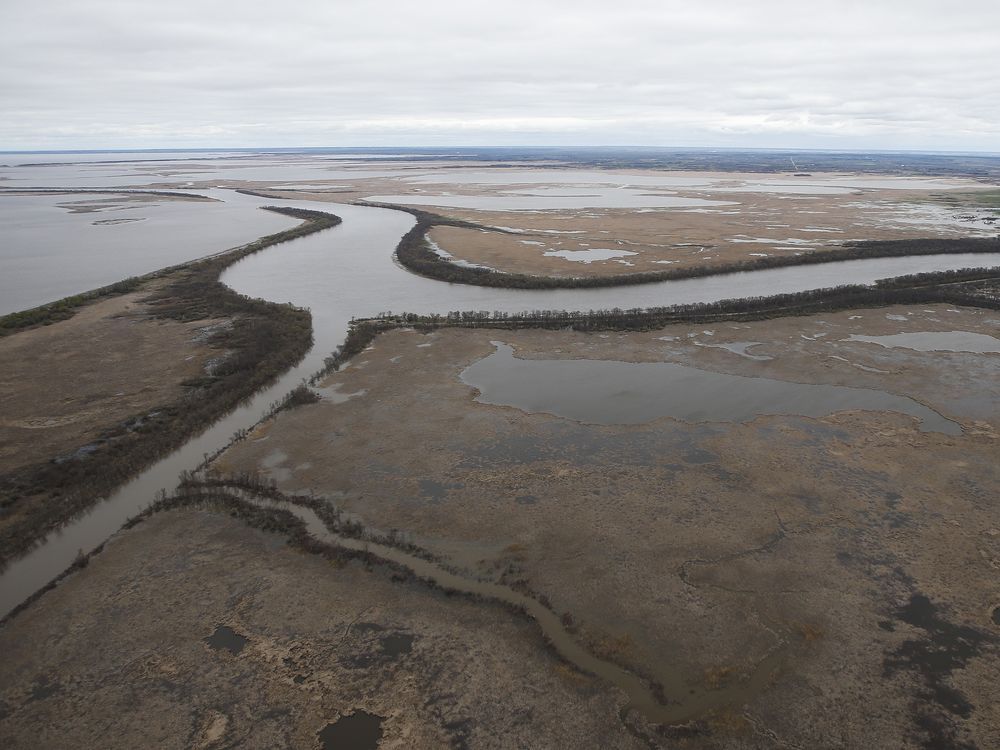 ’SHE IS DYING’: Lawsuit asks Lake Winnipeg to be legally defined as a person