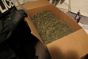 Images from York Regional Police of items seized Oct. 16, 2024 after seven search warrants were executed at residences and storage lockers in East Gwillimbury and the Town of Georgina. YRP