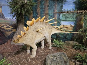Make a spiky friend at the Museum of Dinosaurs in Cocoa Beach. Laura Shantora Nelles/Toronto Sun