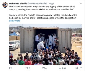 An X post by Mohamed El Saife.