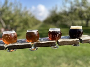 Bad Apple Brewing Company produces beer, hard seltzer, ciders and fruit wine in Huron County. IAN SHANTZ/TORONTO SUN