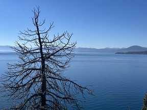 The Tahoe East Shore Trail offers panoramic views of Lake Tahoe. IAN SHANTZ/TORONTO SUN