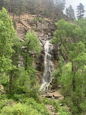 Deadwood