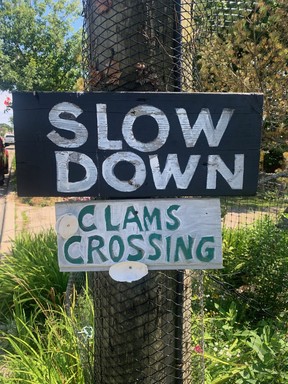 East Coast humour on Water Street in the heart of St. Andrews by-the-Sea. LANCE HORNBY/TORONTO SUN