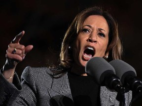 U.S. Vice-President and Democratic presidential candidate Kamala Harris speaks during a campaign rally at Burns Park in Ann Arbor, Michigan, Oct. 28, 2024.
