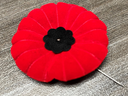 The chief justices of Nova Scotia's Supreme Court and provincial court are defending the decision not to allow staff to wear poppies in some courtrooms.