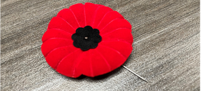 Poppy Campaign
