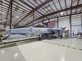 There aren't any cardboard cutouts of your boys Maverick and Goose to pose with, the volunteers at the Warbird Air Museum in Titusville, Florida will be happy to snap your pic in front of their most-popular plane, the F-14. Laura Shantora Nelles/Toronto Sun