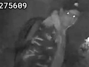 suspect wanted
