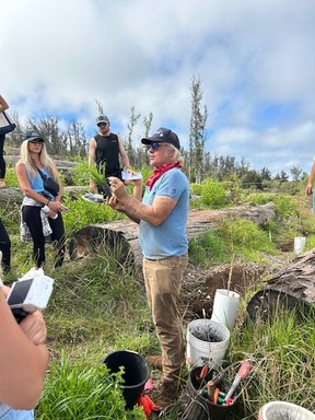 Skyline Conservation