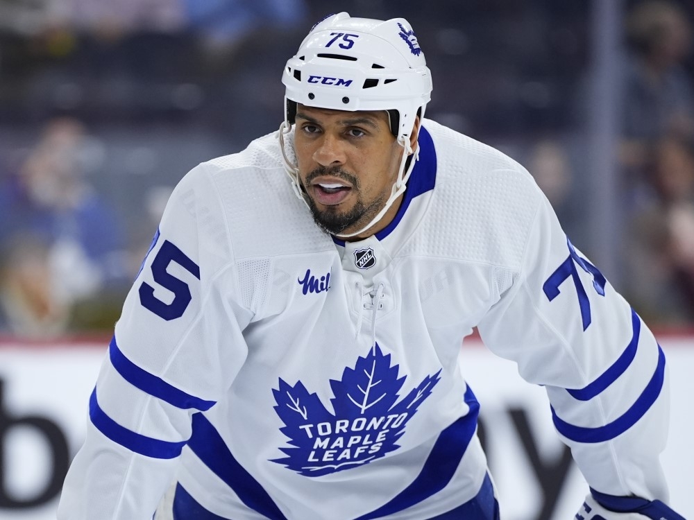 https://smartcdn.gprod.postmedia.digital/torontosun/wp-content/uploads/2024/11/Ryan-Reaves-files-AP-Nov16.jpg?quality=100&strip=all