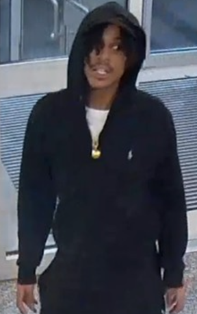 Aggravated assault suspect
