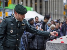 People lay poppies on the Cenotaph.