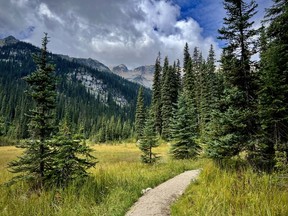 Some easy trails at Kokanee Glacier Provincial Park during a week with Mountain Trek Health Reset Retreat in B.C. Ernest Doroszuk/Toronto Sun