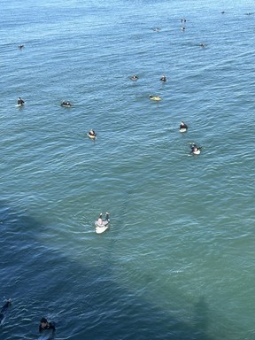 Catching the next big wave requires patience as a school of surfers waiting for one in Huntington Beach can attest. ROB LONGLEY/TORONTO SUN