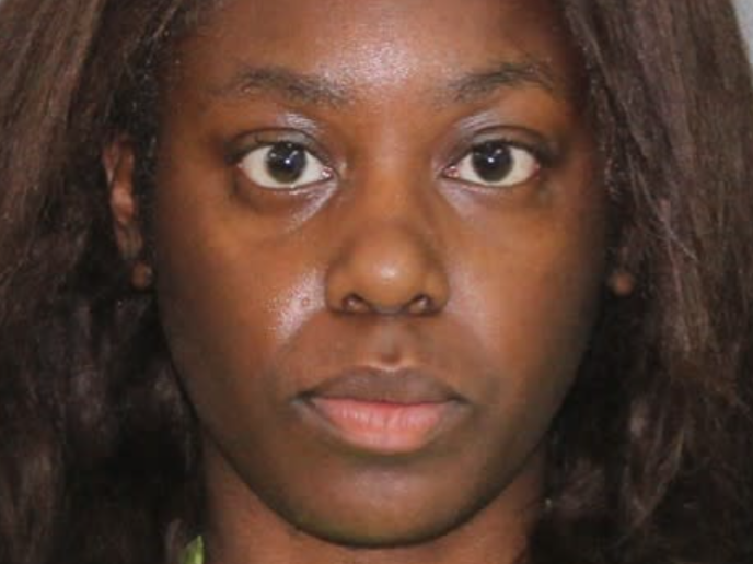 Canadian woman caged five years for botched Texas gun gambit