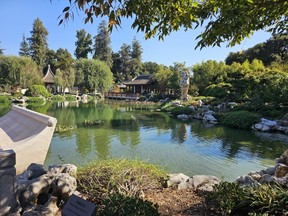 A quiet pond at the Chinese Garden