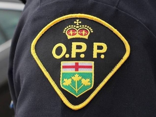 SHUTDOWN: Chaos Erupts After Scarborough Smash!