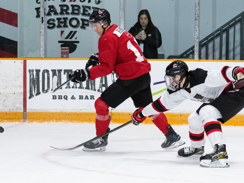 Canada unveils roster for world junior hockey championship