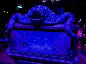 Disney Treasure