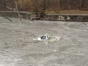 Parkside Park Duck Park Duck Camera بعد تعرضها للتخريب للمرة الثالثة.