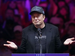 Elon Musk speaks at a campaign rally, Oct. 27, 2024, in New York.