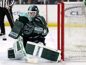 Aerin Frankel of Boston Fleet makes a save
