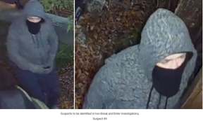 Break-in suspect