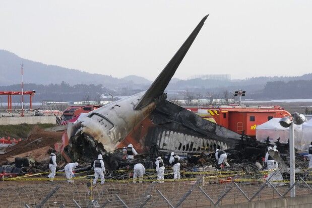 South Korean plane crash report says bird remains found in engines, but no cause yet revealed