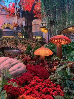 Sadelle’s inside the Bellagio Hotel & Casino. The sprawling dining room overlooks a tranquil indoor Conservatory & Botanical Garden.