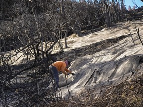 Los trabajadores aseguran una red para contener el barro sobre el lado quemado de una mansión en el vecindario Pacific Palisades de Los Ángeles, el viernes 24 de enero de 2025.