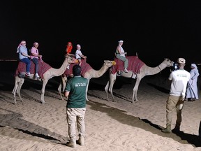 Dubai camel ride