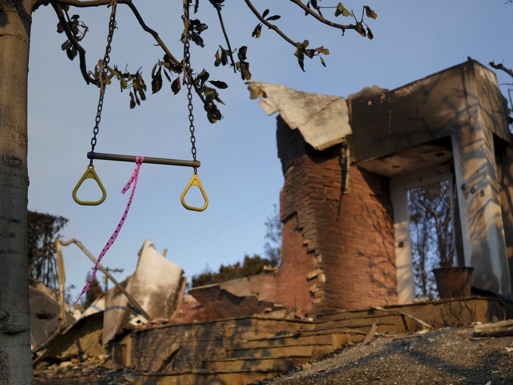 A swing hangs from a tree in front of a fire-damaged residence in the aftermath of the Palisades Fire in the Pacific Palisades neighborhood of Los Angeles, Friday, Jan. 10, 2025.