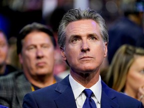 Gavin Newsom