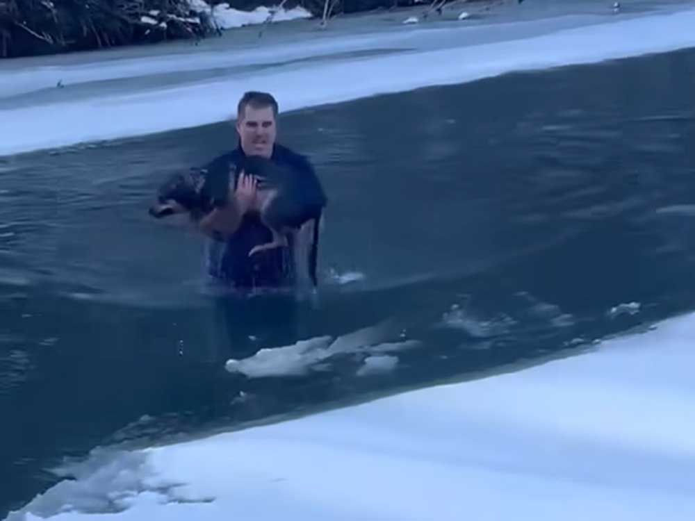 Chris MacRitchie is seen in this screengrab of a video rescuing a dog from a river in Vermont.