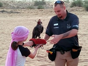 Dubai falconry