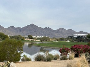 The thrilling final four at TPC Stadium begins with the Par 5 15th and the bustling grandstands visible in the distance. Rob Longley/Toronto Sun